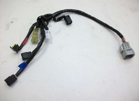 Wire Harness Yamaha FZ1