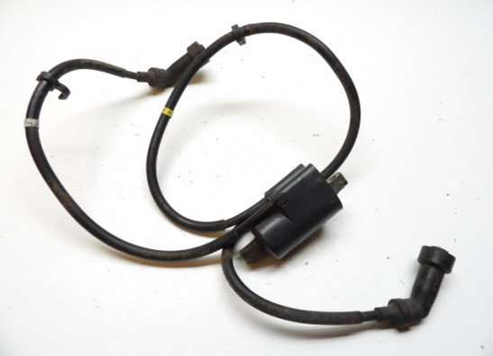 Bobine Yamaha XJ 900 S Diversion