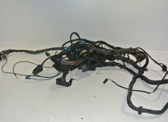 Kabelboom Triumph Sprint ST 955