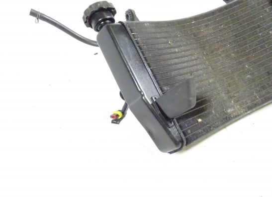 Radiator Ducati 749  999