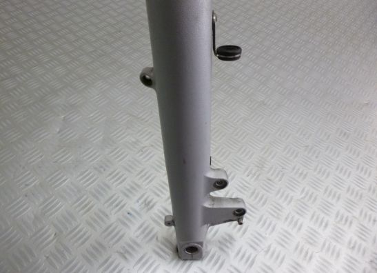 Voorpoot links compleet BMW R 1150 R