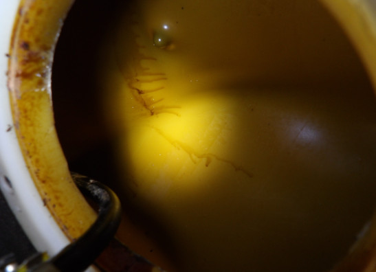 Tank BMW R 1100  1150 RS