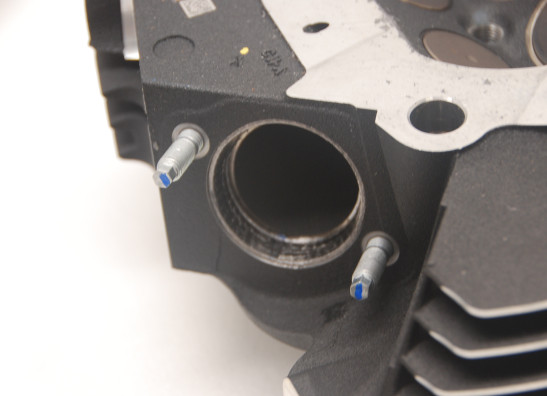 Cylinder head Harley Davidson Softtail