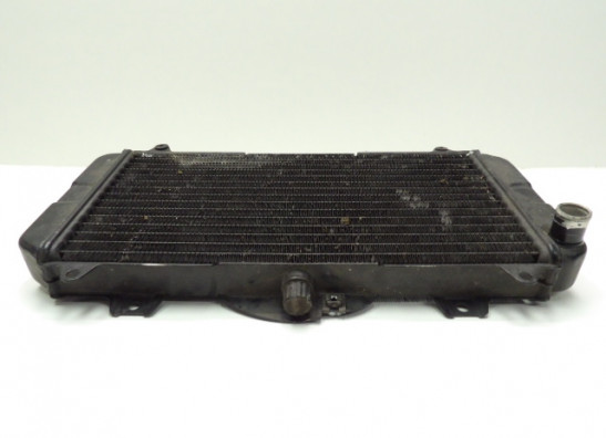 Radiateur Yamaha FZR 600