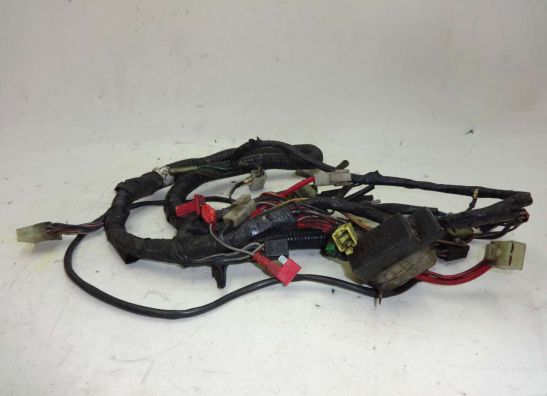 Kabelboom Yamaha FZR 600