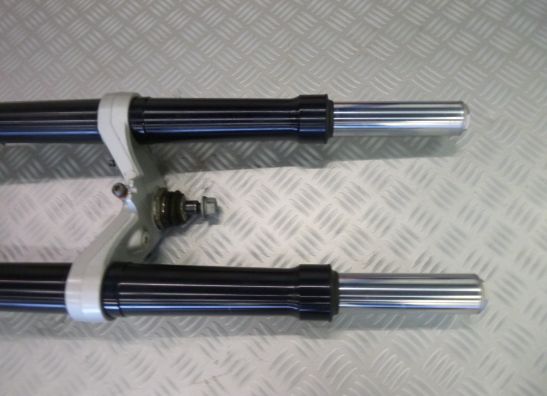 Voorpoten compleet BMW R 1200 S