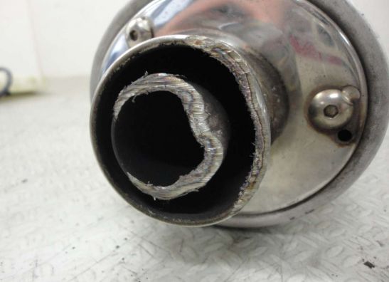 Auspuff Suzuki SV 1000