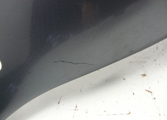 Heck links Yamaha YZF 1000 Thunderace