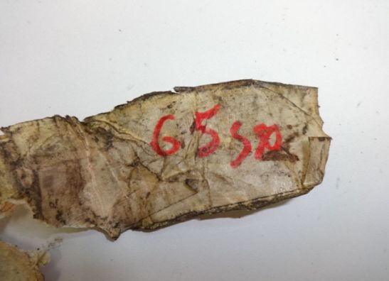 Gear change pedal  Suzuki GS 550