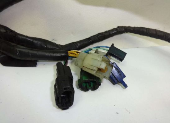 Wire Harness Honda CBF 500