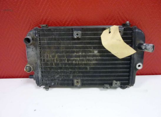 Radiateur Kawasaki EL 250