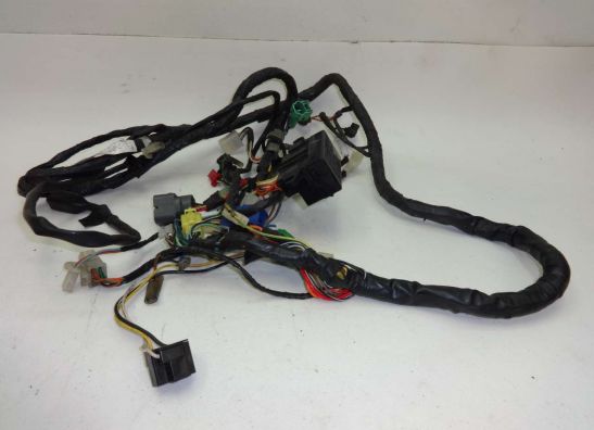 Wire Harness Suzuki GSF 600 650 Bandit 