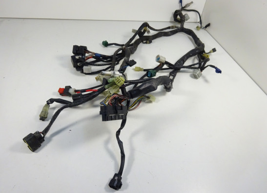 Wire Harness Yamaha FJR 1300