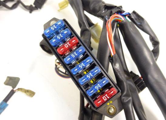 Kabelboom Cagiva Raptor 650