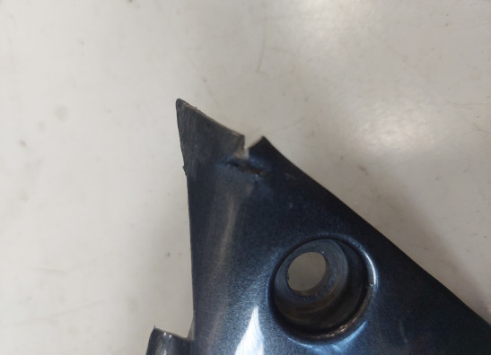 Seitenverkleidung links klein Aprilia RSV 1000