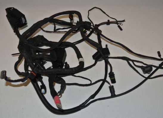 Wire Harness BMW F 700 GS