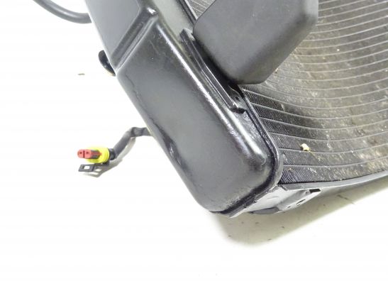 Radiator Ducati 749  999