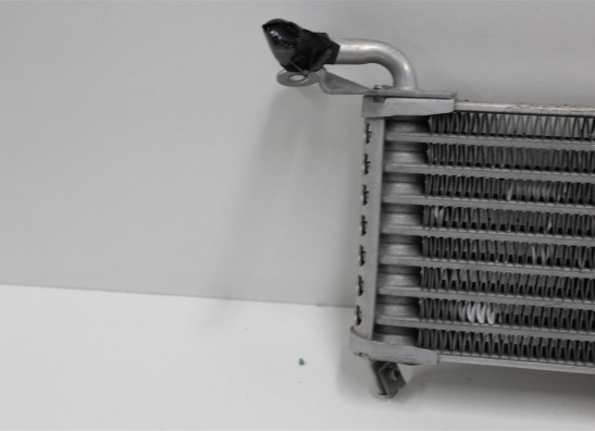 Oliekoeler BMW S 1000 XR