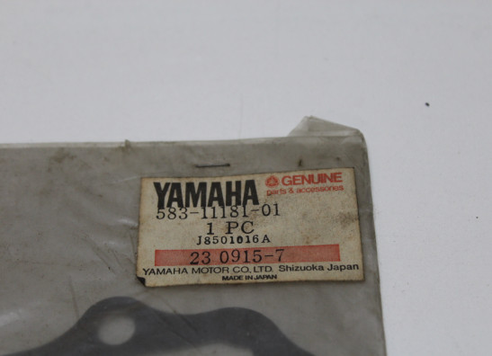 Dichtung Yamaha XT 500