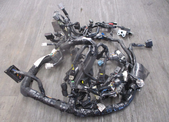 Kabelbaum Kawasaki Z 1000