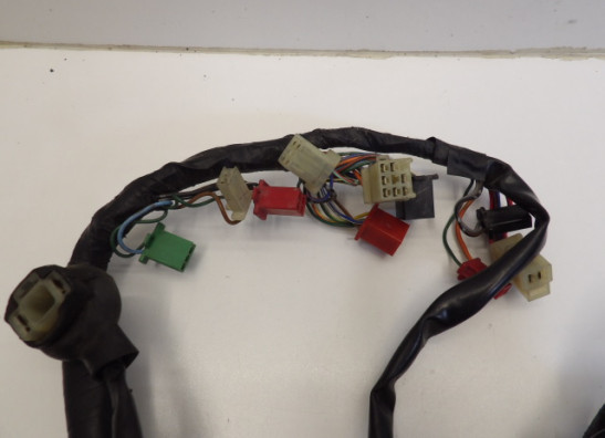 Kabelboom Honda CBR 600 F