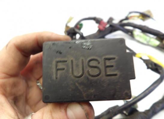 Kabelboom Honda CBR 600 F