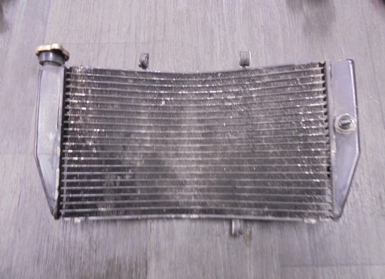 Radiator Honda CBR Fireblade