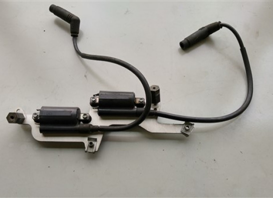 Bobine Aprilia Tuono 1000 2003-2005