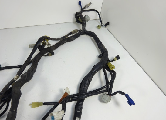 Kabelbaum Yamaha FJR 1300