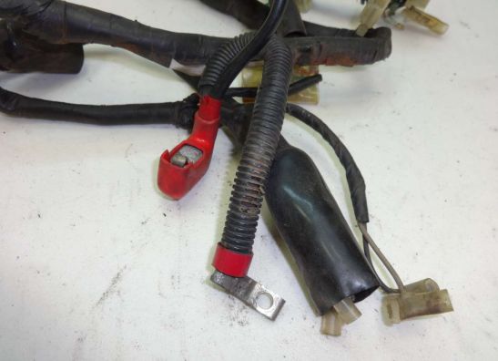 Kabelboom Honda CMX 250 