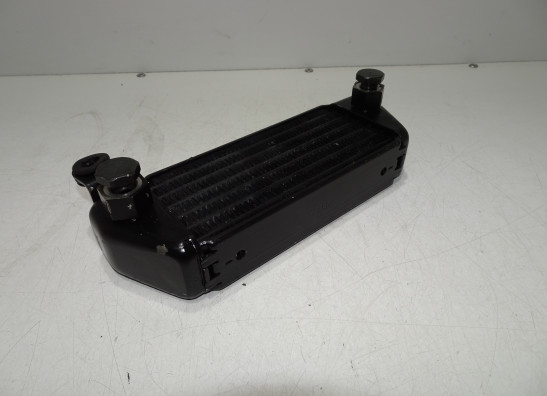 Olkuhler Triumph T509 Speed Triple