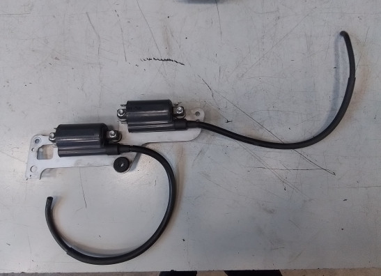 Bobine Aprilia RSV 1000