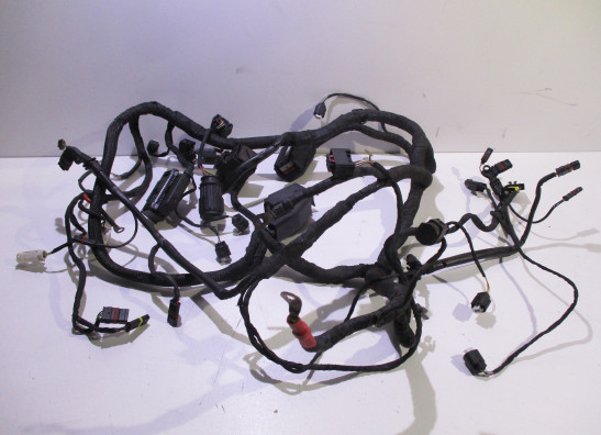 Kabelboom BMW K 1200 S 