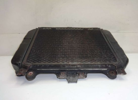 Radiator Kawasaki GPZ 500