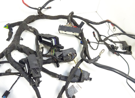 Kabelboom BMW R 1200 RT