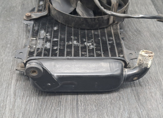 Kuhler Yamaha FZR 400