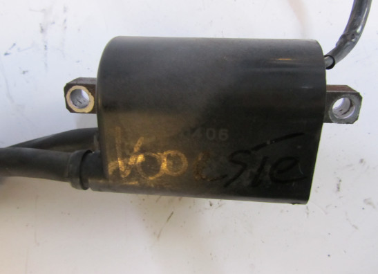 Bobine Suzuki DL 650 V STROM