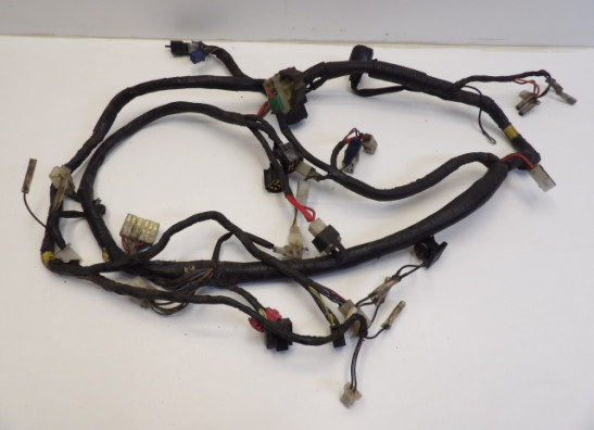 Wire Harness Yamaha XJ 900 S Diversion