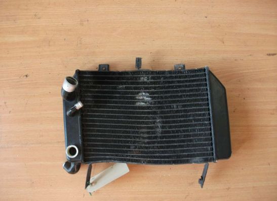 Radiateur Suzuki TL 1000