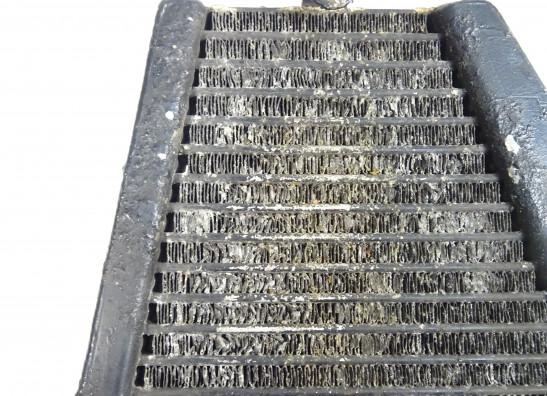 Olkuhler Ducati 749  999