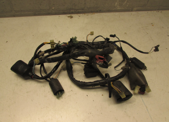 Wire Harness Honda Deauville 650 - 700
