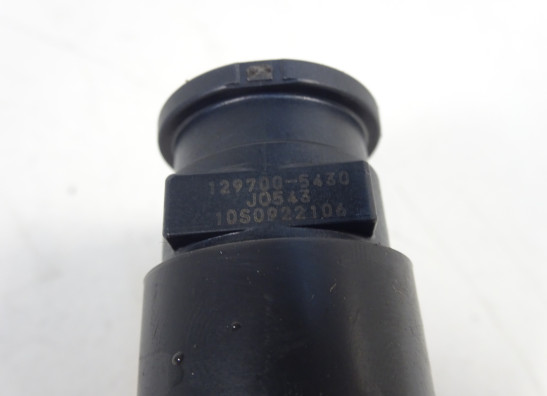 Bobine Kawasaki Ninja 300