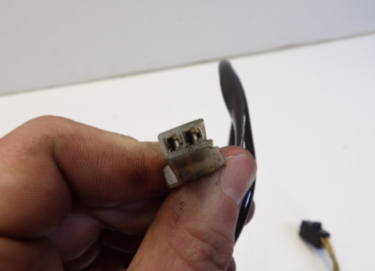 Dynamo Suzuki LS 650