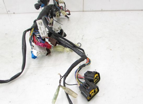 Kabelboom voor Yamaha FAZER 600