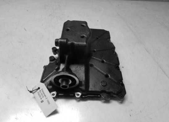 Carterpan Kawasaki Z 1000