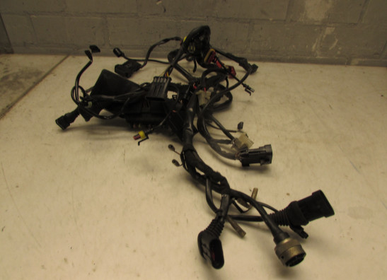 Kabelboom Ducati monster 900