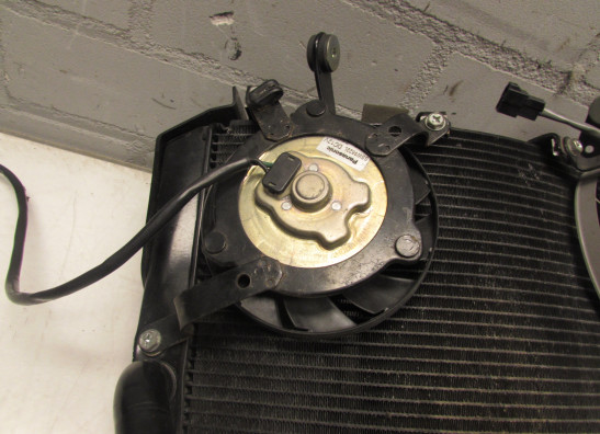 Radiator Yamaha YZF R1