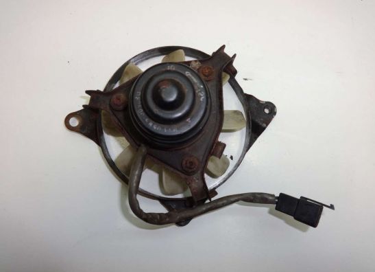 Fan Kawasaki EN 500 Vulcan