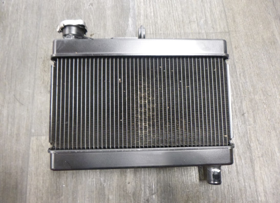 Radiateur Honda CMX 500 Rebel