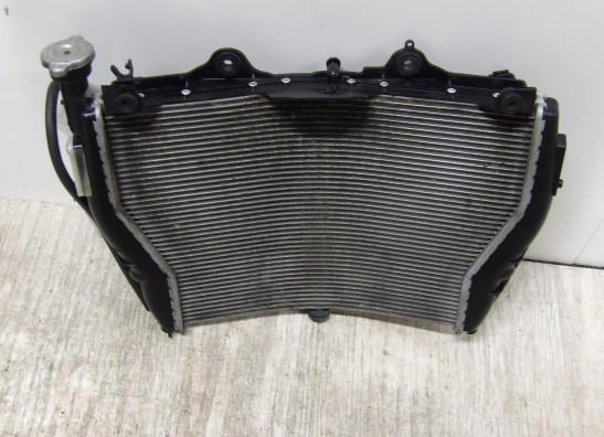 Radiateur BMW S 1000 R 2014-2016